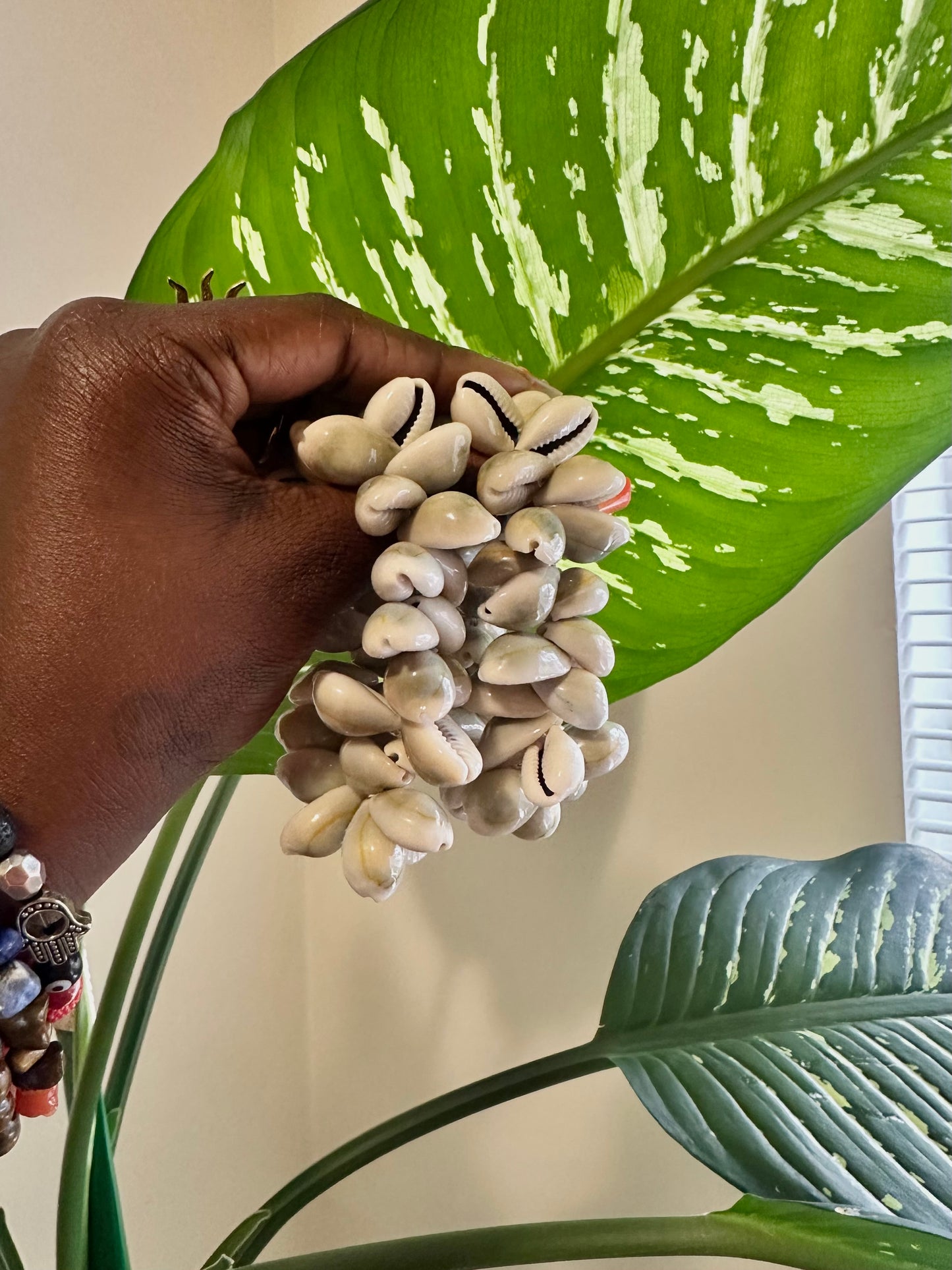 Cowrie Shell Bracelet