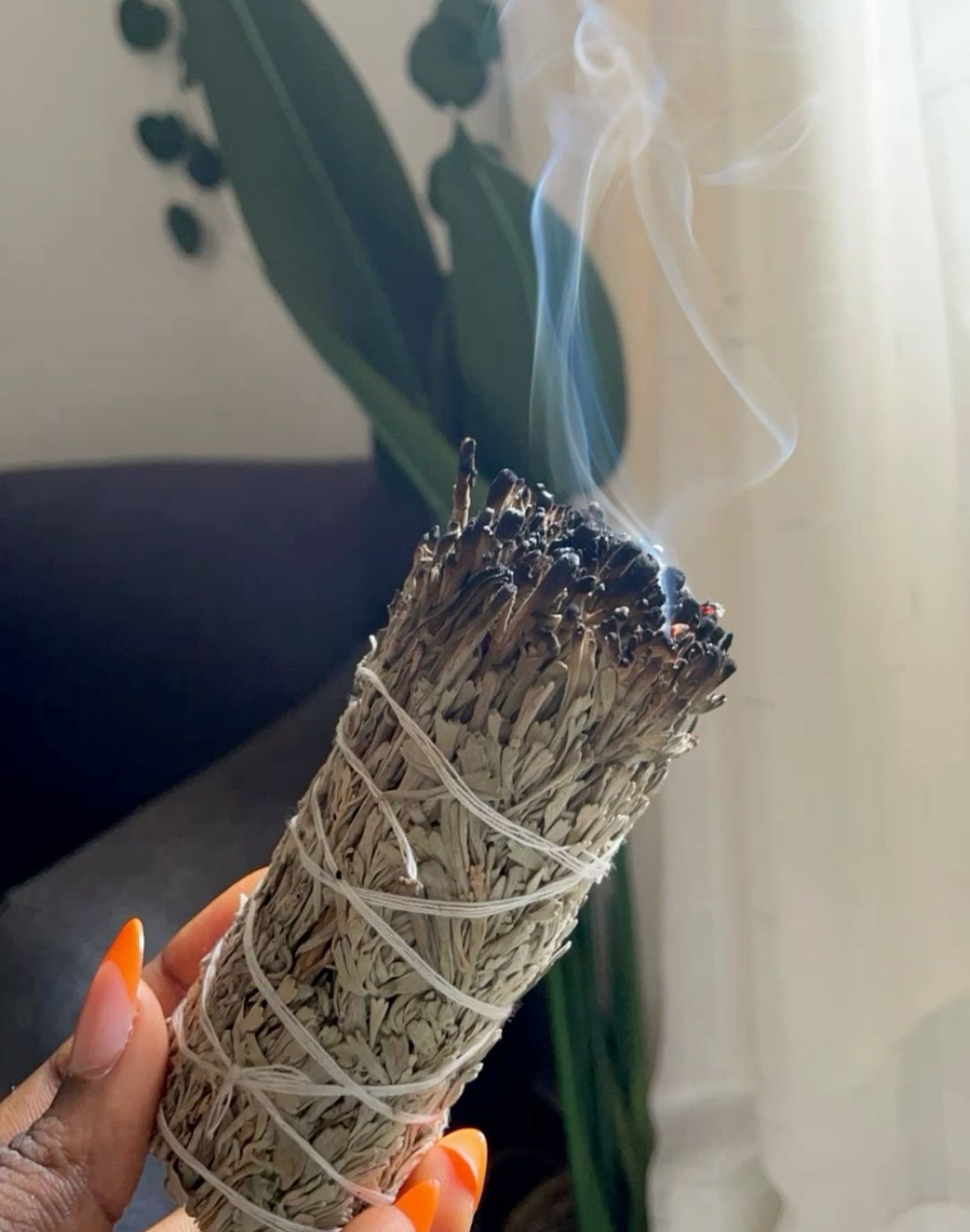 White Sage Smudge Sticks (Purify & Protect)