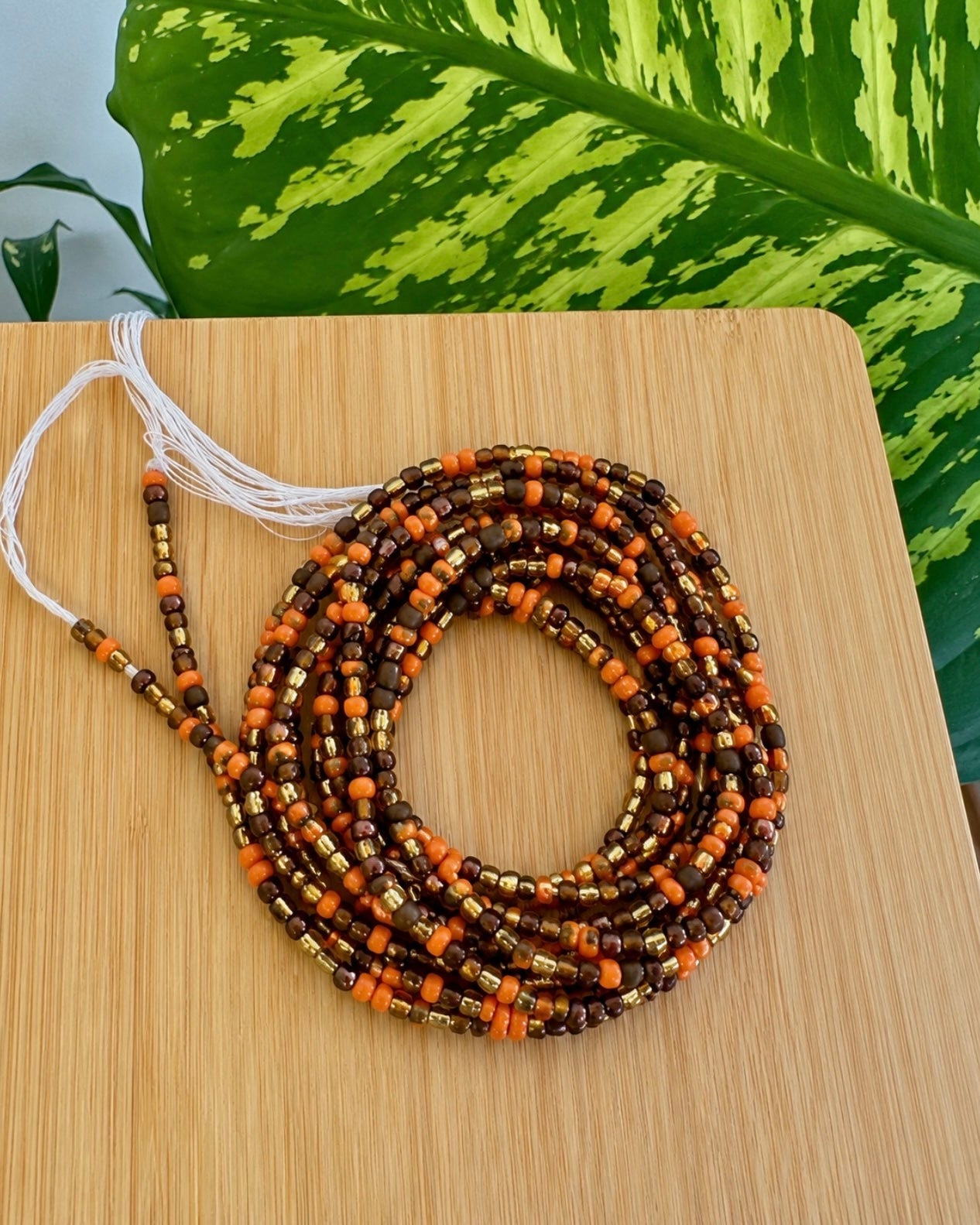 Erykah Waist Bead